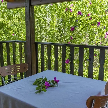 Umutsu Doga Manzarali Korunakli Balayi Villasi Villa Fethiye